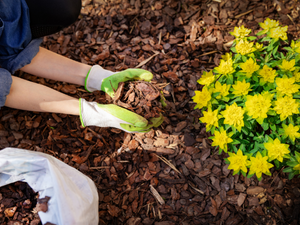 Mulch