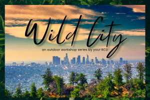 Wild City Workshop (Postcard) (300 × 300 px)